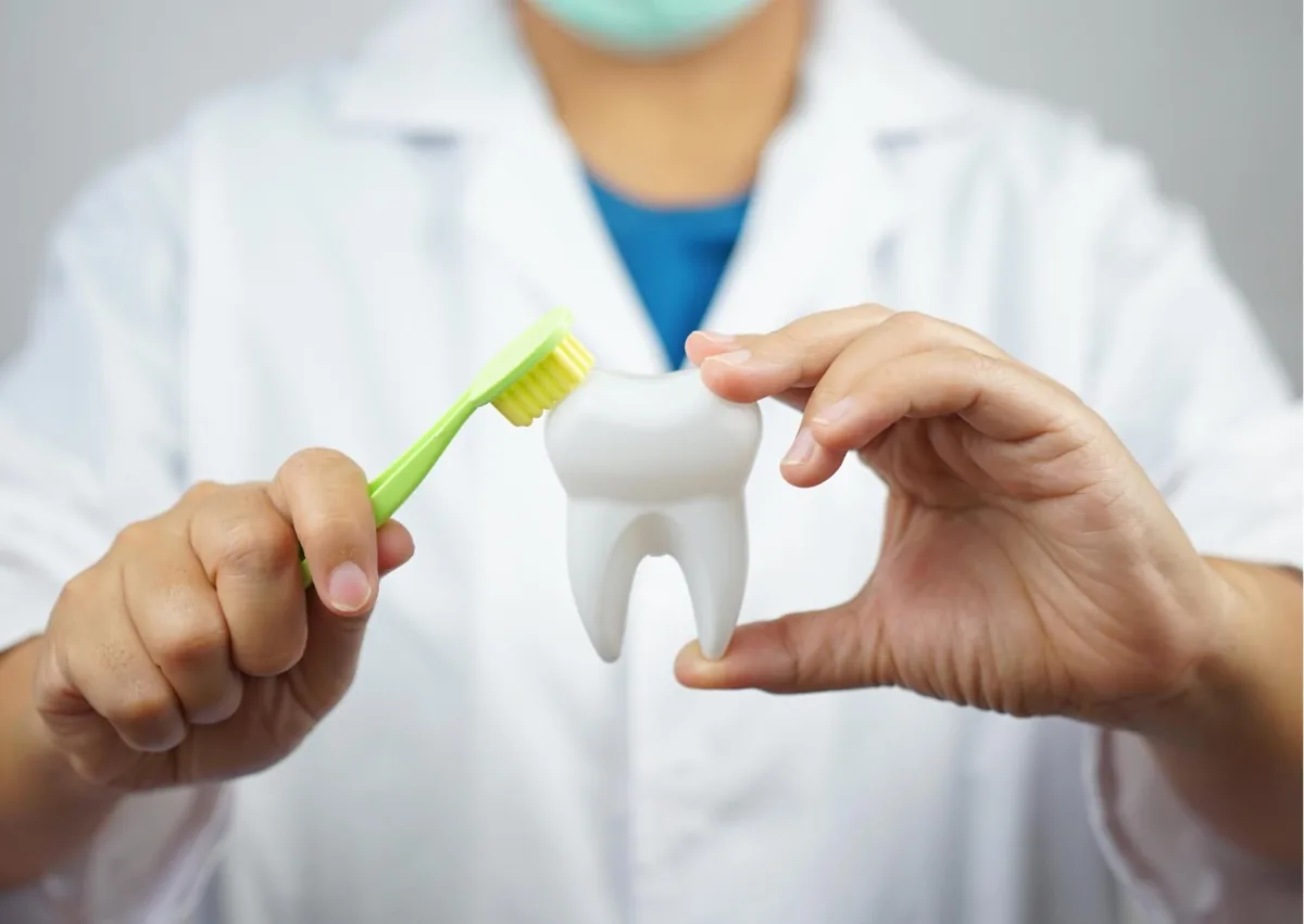 Dentist holding a toothbrush and tooth model to demonstrate how to prevent cavities with proper brushing.