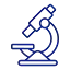 microscope dental